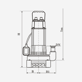 Submersible pump with float switch